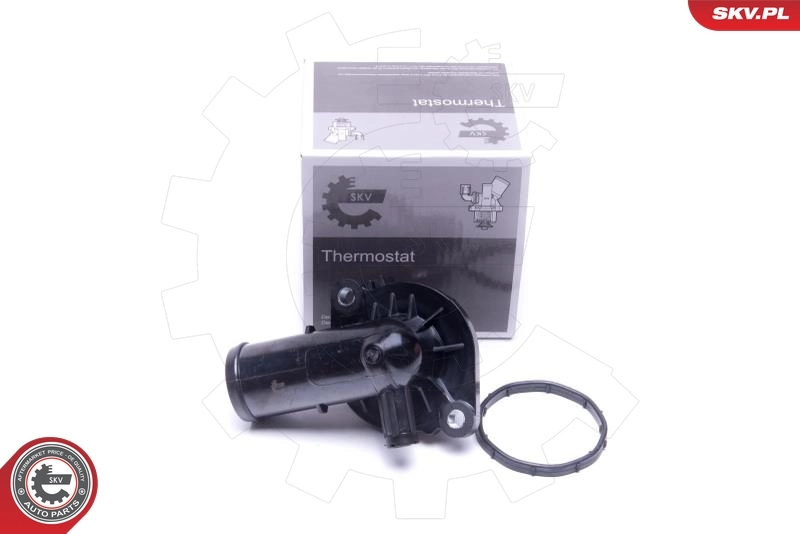 Thermostat, coolant